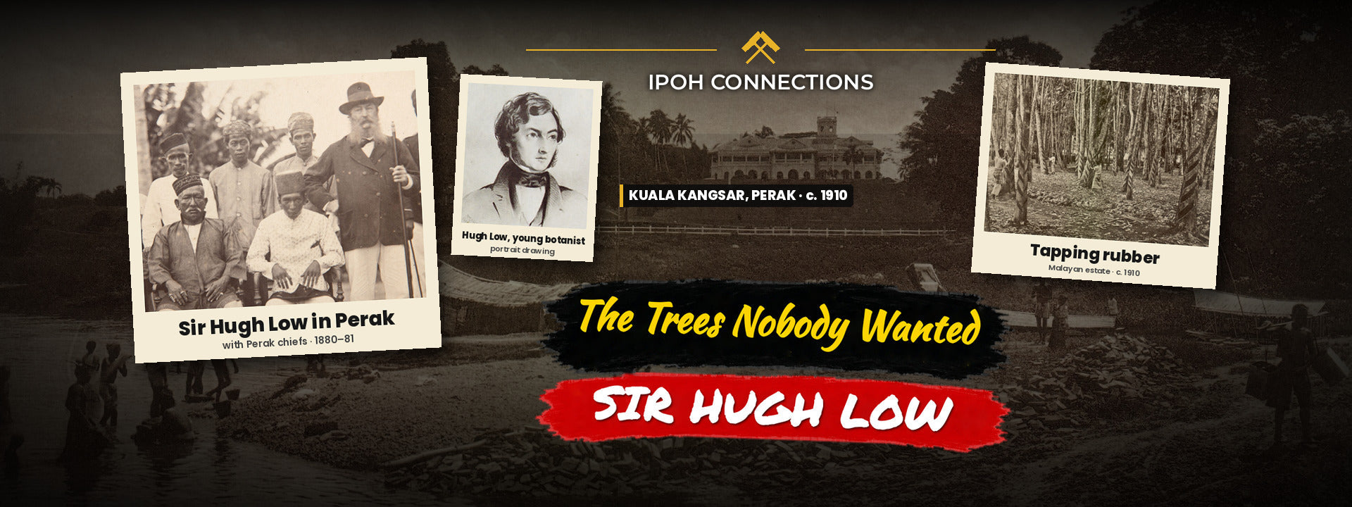 HUGH LOW STREET, IPOH: THE MAN BEHIND THE NAME, AND THE FIRST RUBBER TREES IN MALAYSIA THAT NOBODY WANTED
