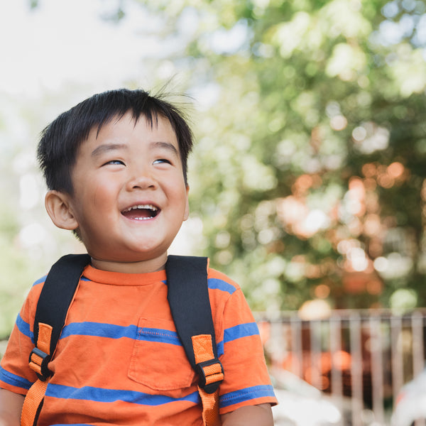 Essential Educational Resources Every Student Needs